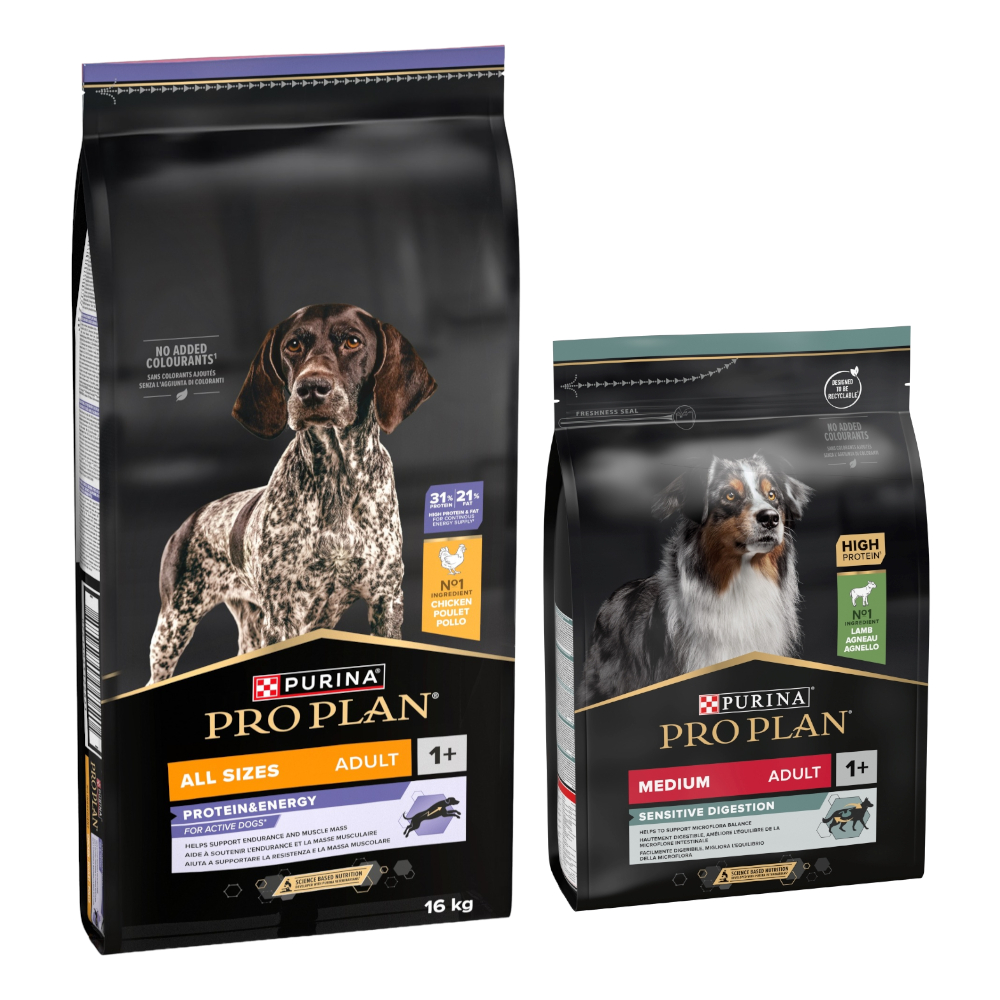 16 kg + 3 kg gratis! 19 kg PURINA PRO PLAN Adult - All Size Protein & Energy +Medium Lamm & Reis Sensitive Digestion 16 kg + 3 kg gratis! 19 kg PURINA PRO PLAN Adult - All Size Protein & Energy +Medium Lamm & Reis Sensitive Digestion von Pro Plan