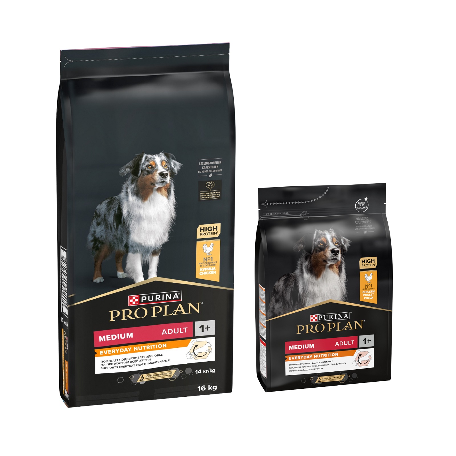16 kg Pro Plan + 3 kg Trokenfutter / 12 x 400 g Nassfutter gratis! - 16 + 3 kg Medium Adult Everyday Nutrition 16 kg Pro Plan + 3 kg Trokenfutter / 12 x 400 g Nassfutter gratis! - 16 + 3 kg Medium Adult Everyday Nutrition von Pro Plan