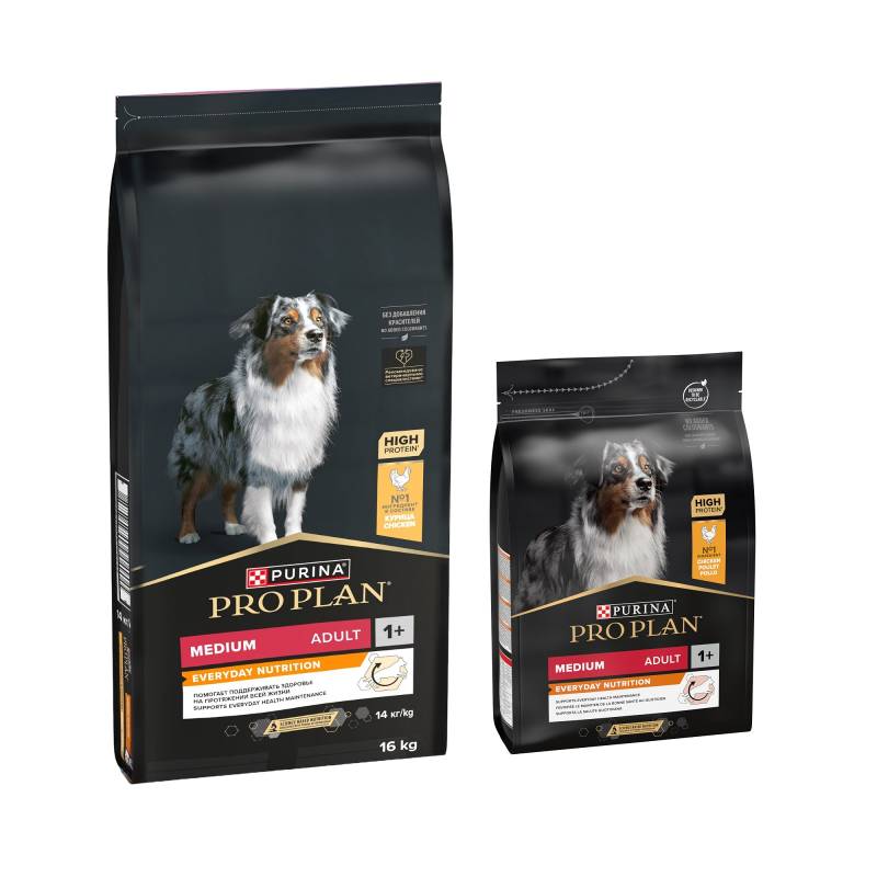 16 kg Pro Plan + 3 kg Trokenfutter / 12 x 400 g Nassfutter gratis! - 16 + 3 kg Medium Adult Everyday Nutrition 16 kg Pro Plan + 3 kg Trokenfutter / 12 x 400 g Nassfutter gratis! - 16 + 3 kg Medium Adult Everyday Nutrition von Pro Plan
