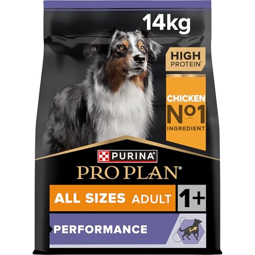 Pro Plan All Size Adult Hund Performance, Hundefutter trocken, reich an Huhn, 1er Pack (1 x 14 kg) von Pro Plan