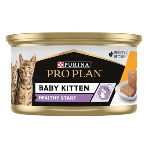 Purina Pro Plan | Baby Kitten Healthy Start | Schaum | reich an Huhn | Kätzchen | Lunchbox 85 g | 24 Stück von Pro Plan