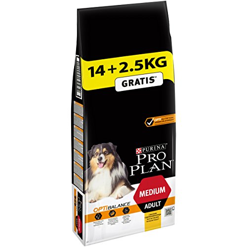 Pro Plan Dog Medium Adult, Reich an Huhn, Trockenfutter Beutel Pro Plan Dog Medium Adult, Reich an Huhn, Trockenfutter Beutel von Pro Plan