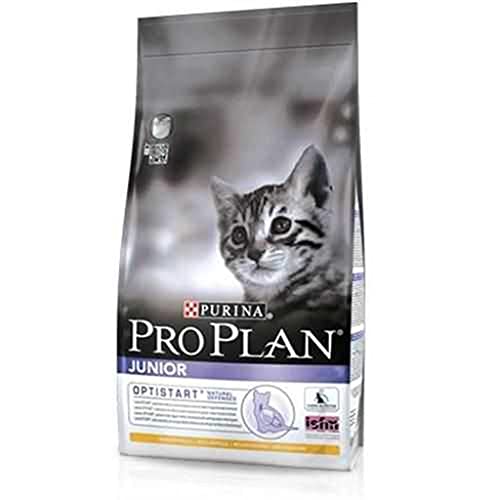 Pro Plan Purina Katzenfutter Junior mit OPTISTART reich an Hähnchen - 3 kg von PRO PLAN CAT