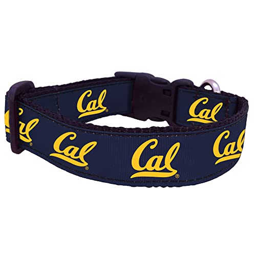 College-Hundehalsband, Größe M, Kalb von Pro Sport Brand