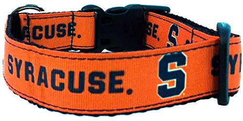 College-Hundehalsband, groß, Syracuse von Pro Sport Brand