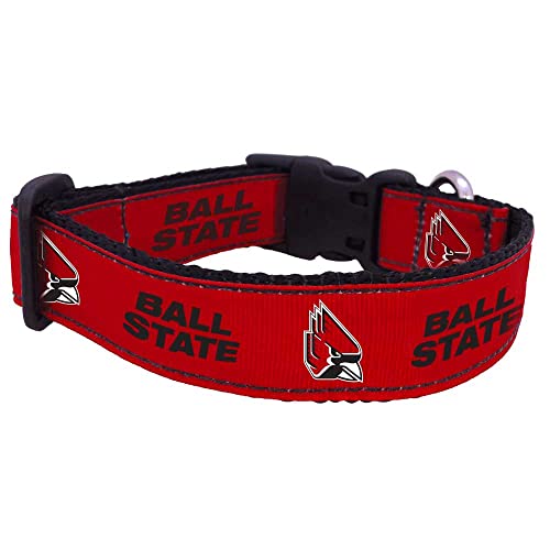 College-Hundehalsband (Größe M, Ballzustand) von Pro Sport Brand