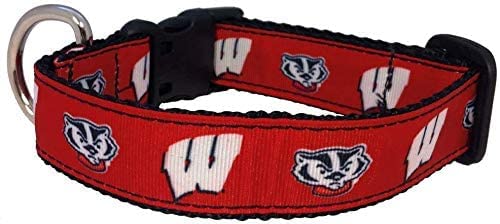 College Hundehalsband (Größe M, Wisconsin) von Pro Sport Brand