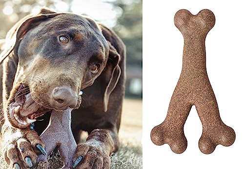 Hundekauknochen für aggressive Kauer Langanhaltend für kleine, mittlere, große Hunde, langlebig – Outdoor-Abenteuer, Apportiertraining, Huhn & Rindgeschmack – kein Geruch, kein Geruch (Dog Bone Beef - Hundekauknochen für aggressive Kauer Langanhaltend für kleine, mittlere, große Hunde, langlebig – Outdoor-Abenteuer, Apportiertraining, Huhn & Rindgeschmack – kein Geruch, kein Geruch (Dog Bone Beef - von ProBytes