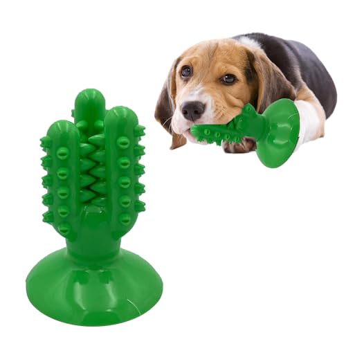 Smart Pet Kauspielzeug – Cleveres Kaktus-Design, Zahnpflege, Mundhygiene, Bewegung, lustige Ablenkung, langsames Kautraining, Zahnbürste, Leckerlis, leicht zu reinigen, langlebige Saugkraft, Smart Pet Kauspielzeug – Cleveres Kaktus-Design, Zahnpflege, Mundhygiene, Bewegung, lustige Ablenkung, langsames Kautraining, Zahnbürste, Leckerlis, leicht zu reinigen, langlebige Saugkraft, von ProBytes