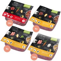 ProCani Menü Paket Rind und Geflügel 50x500 g von ProCani