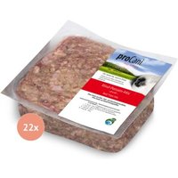 ProCani Rind Pansen Mix 22x500 g von ProCani