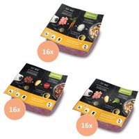 ProCani BARF Komplettmenü TK-Blockware Napffertig Probierpaket Geflügel 48x500 g von ProCani