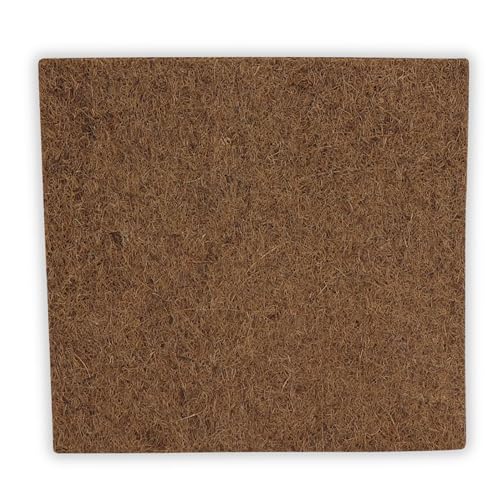 ProFlora® Terrarium Rückwand - Nachhaltige Rückwand aus Kokosfasern für eine natürliche Atmosphäre (30 x 30 cm, Natur) von ProFlora
