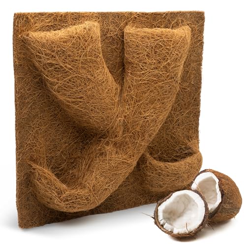 ProFlora® Terrarium Rückwand mit Pflanztaschen - Nachhaltige Rückwand aus Kokosfasern für eine natürliche Atmosphäre (40 x 40 cm) von ProFlora