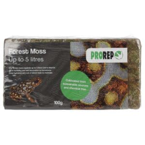 ProRep Waldmoossteine 100 g | Substratblock | Reptilien & Amphibien | Reptilienmoosblock | nachhaltig angebaut von ProRep