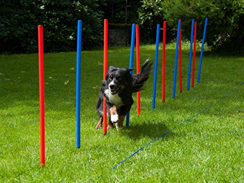 Agility-Set für Hunde, 12 Slalomstangen rot/blau mit Tragetasche, Hundetraining von NATIV