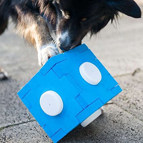 Procyon Dog Agility Schnüffel-Cube von Procyon