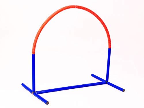 Procyon Hooper, blau/orange - 4 Sets von NATIV