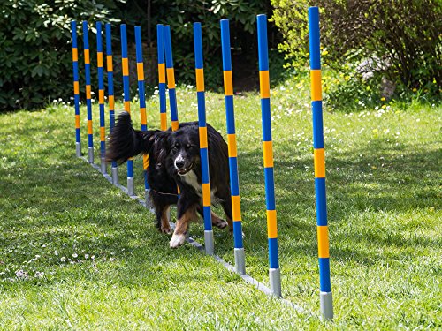 Hunde Profi Agility Slalom FCI konform von Procyon