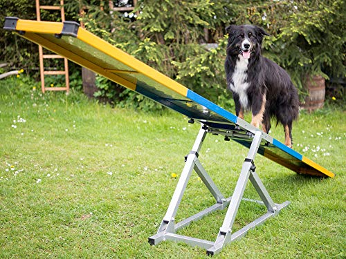 Hunde Profi Agility Turnier Wippe FCI konform von Procyon