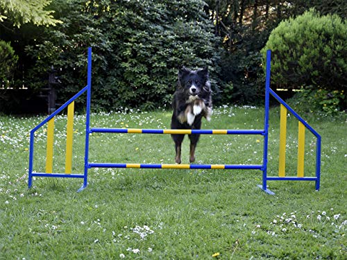 PROCYON Agility Hürde für Hunde Profi-Training-Set FCI konform Hürden Hundeport von PROCYON