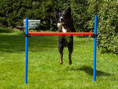 Hürde rot/blau mit Tragetasche, Agility Training für Hunde, Hundesport, Parcours für Hundetraining von NATIV