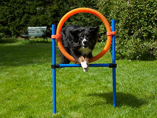 Sprungring orange/blau mit Tragetasche, Agility Training für Hunde, Hundesport von NATIV