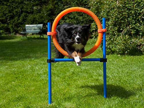Sprungring orange/blau mit Tragetasche, Agility Training für Hunde, Hundesport von NATIV