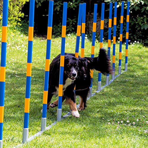 PROCYON Hunde Agility Profi-Slalom Set Doggy von PROCYON