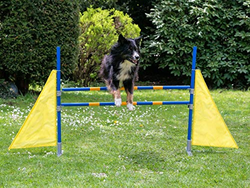 Procyon Profi Agility Hürde Hunde-Training-Set höhenverstellbar - FCI konform von Procyon