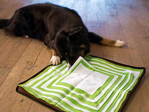 PROCYON Schnüffel-Pyramide Schnüffelwiese Matte Teppich Hunde Leckerli Suchspiel (50x50cm) von PROCYON