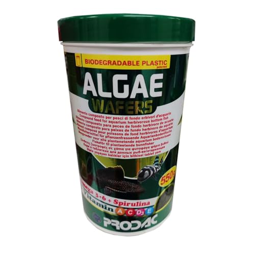 Prodac Algenwaffeln Fischfutter, 550 g von Prodac