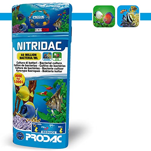Prodac nitridac bacterias 500ml cultura di batteri von Prodac