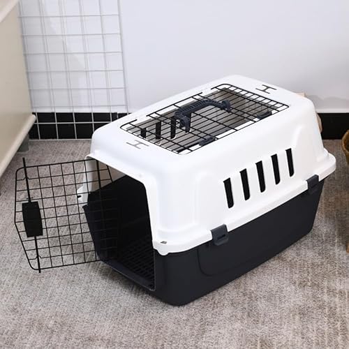 Produce Shop Transportbox für Tiere mit Einer harten Struktur und einem kleinen Teppich 40x58x38 Rexxy L von Produce Shop