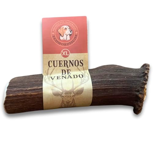 Productos naturales ECOMORDISCOS Beißring für Hunde, Hirschgeweih, Größe S, L, XL, robust, 100 % natürlich, lindert Stress und Angst, reduziert Zahnstein. (XL) Hundespielzeug von Productos naturales ECOMORDISCOS