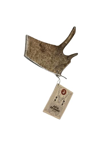 Productos naturales ECOMORDISCOS Natürliches Wildhorn für Hunde, 100 % natürlich, langlebiges Kauhorn, Kauknochen für Hunde, Anti-Stress-Spielzeug für den Innenbereich, Größe L Productos naturales ECOMORDISCOS Natürliches Wildhorn für Hunde, 100 % natürlich, langlebiges Kauhorn, Kauknochen für Hunde, Anti-Stress-Spielzeug für den Innenbereich, Größe L von Productos naturales ECOMORDISCOS