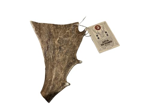 Productos naturales ECOMORDISCOS Natürliches Wildhorn für Hunde, 100 % natürlich, langlebiges Kauhorn, Kauknochen für Hunde, Anti-Stress-Spielzeug für den Innenbereich, Größe XL Productos naturales ECOMORDISCOS Natürliches Wildhorn für Hunde, 100 % natürlich, langlebiges Kauhorn, Kauknochen für Hunde, Anti-Stress-Spielzeug für den Innenbereich, Größe XL von Productos naturales ECOMORDISCOS