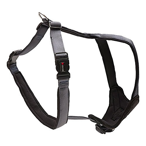 Wolters Cat&Dog Professional Comfort 62352 Geschirr Gr.5 70-85cm x 35mm graphit/schwarz Wolters Cat&Dog Professional Comfort 62352 Geschirr Gr.5 70-85cm x 35mm graphit/schwarz von Professional Comfort