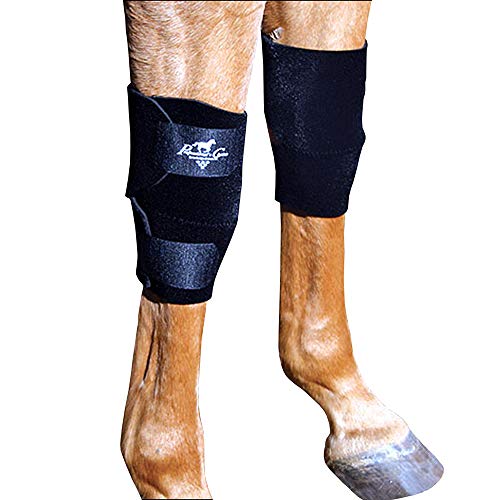 Professional's Choice Equine Kniestiefel, Universalgröße, Schwarz, 1 Paar von Professional's Choice