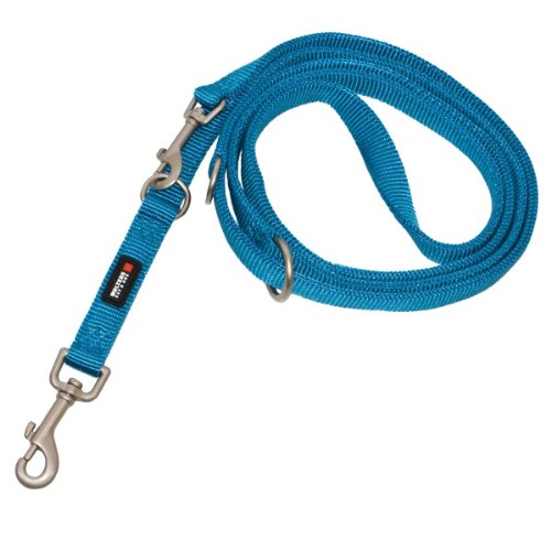 Wolters Cat&Dog Professional 25253 Führleine Classic Gr.M 200cm x 15mm aqua von Professional