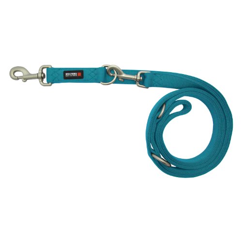 Wolters Cat&Dog Professional 27053 Führleine Classic Gr.M lang 300cm x 15mm aqua von Professional アリエール