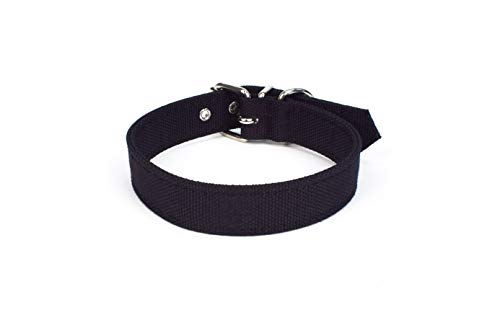 Project Blu XS umweltfreundliches Hundehalsband, nachhaltiges recyceltes Material, Haustier-Halsband (schwarz, Größe 30 (Halsumfang 19-23,5 cm) von Project Blu