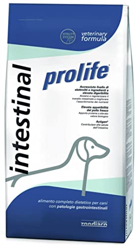 Prolife Intestinal 10kg Hunde von Prolife