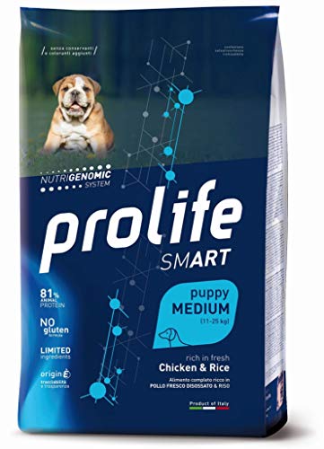 Prolife Smart Puppy Medium Huhn und Reis 10 kg – Leckerlis für Hunde, Puppy Chicken & Rice Medium, Vollnahrung reich an frischem Huhn ohne Knochen und Reis von Prolife