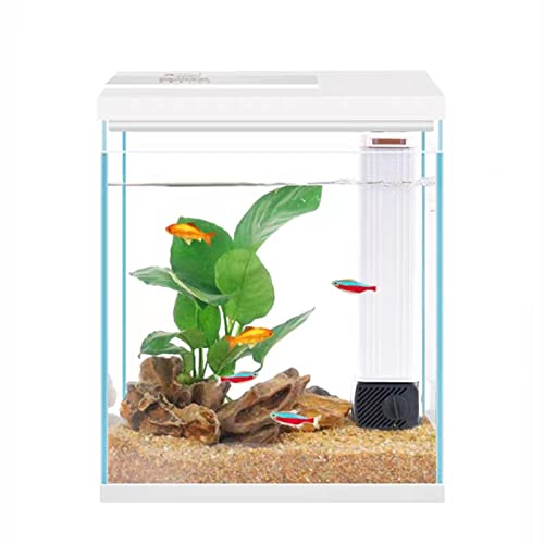 Pronetcus Betta Fish Tank, Glas-Aquarium-Starter-Set, kleines Aquarium mit Filter und Licht von Pronetcus