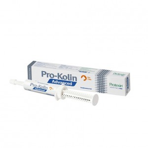 Protexin Pro-Kolin Advanced Katze 15 ml von Protexin