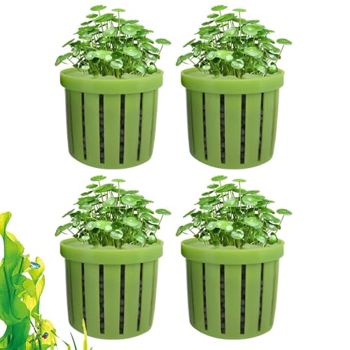Protoence Aquarium Pflanzenhalter | Pflanzenbecher für Aquarien | 4 Stück Hydrokulturhalter für Aquarien, Wasserdéko für Wohnung Hotel Restaurant Geschäfte Protoence Aquarium Pflanzenhalter | Pflanzenbecher für Aquarien | 4 Stück Hydrokulturhalter für Aquarien, Wasserdéko für Wohnung Hotel Restaurant Geschäfte von Protoence