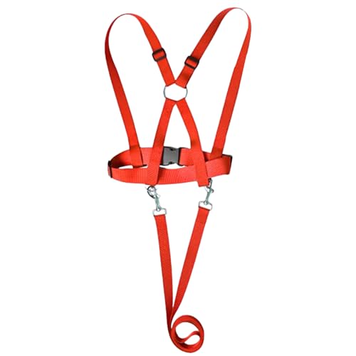 Protoence Kinder Sicherheitsgeschirr, Outdoor Sicherheitsleine Für Kleinkinder, Ergonomisches Anti-Verlauf-Geschirr Mit Führleine Für Outdoor, Spaziergänge, Camping & Abenteuer Protoence Kinder Sicherheitsgeschirr, Outdoor Sicherheitsleine Für Kleinkinder, Ergonomisches Anti-Verlauf-Geschirr Mit Führleine Für Outdoor, Spaziergänge, Camping & Abenteuer von Protoence