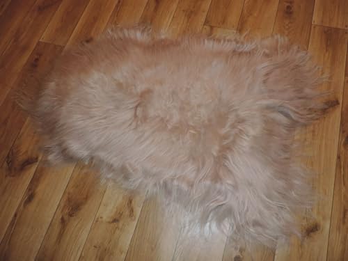 Echtes Premium Islandschaffell Schaffell Lammfell Fell Top Gegerbt Hell Braun Echtes Premium Islandschaffell Schaffell Lammfell Fell Top Gegerbt Hell Braun von Provellus