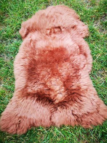 TOP ÖKO LAMMFELL SCHAFFELL Felle Toffee BRAUN NEU L - XXL (110-120 cm x 60-70 cm) von Provellus